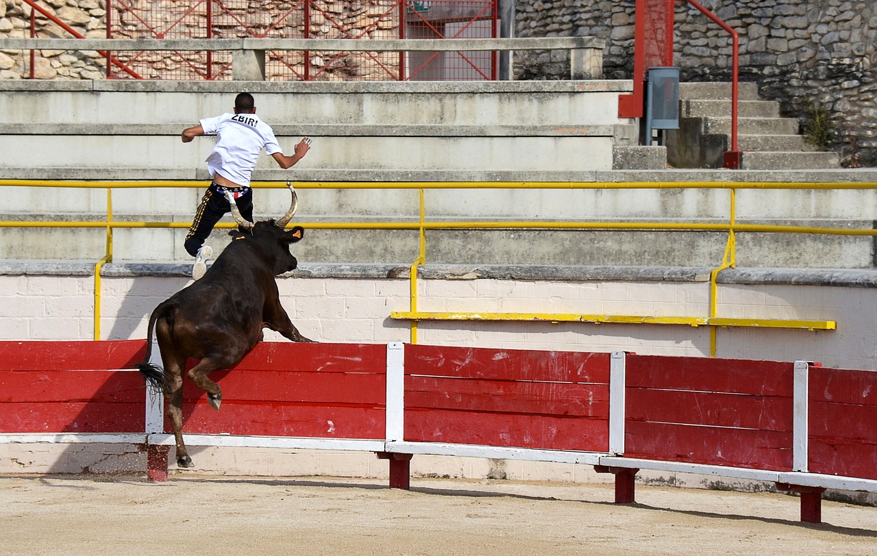 那不勒斯靠