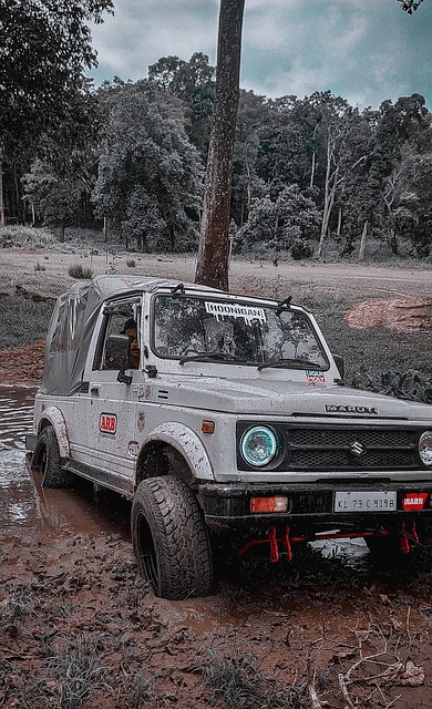 赛事期间 赛事期间